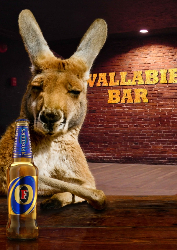 Creation of Wallabie Bar: Step 9